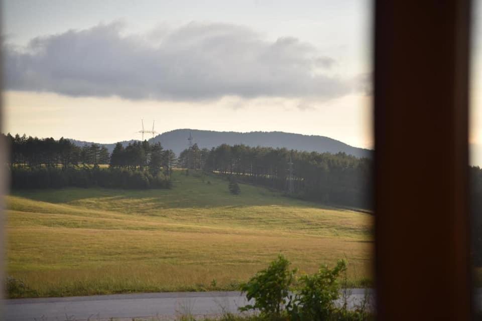 Apartment Sofrenic-hotel Adonis Zlatibor